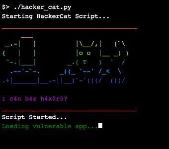 hacker cat